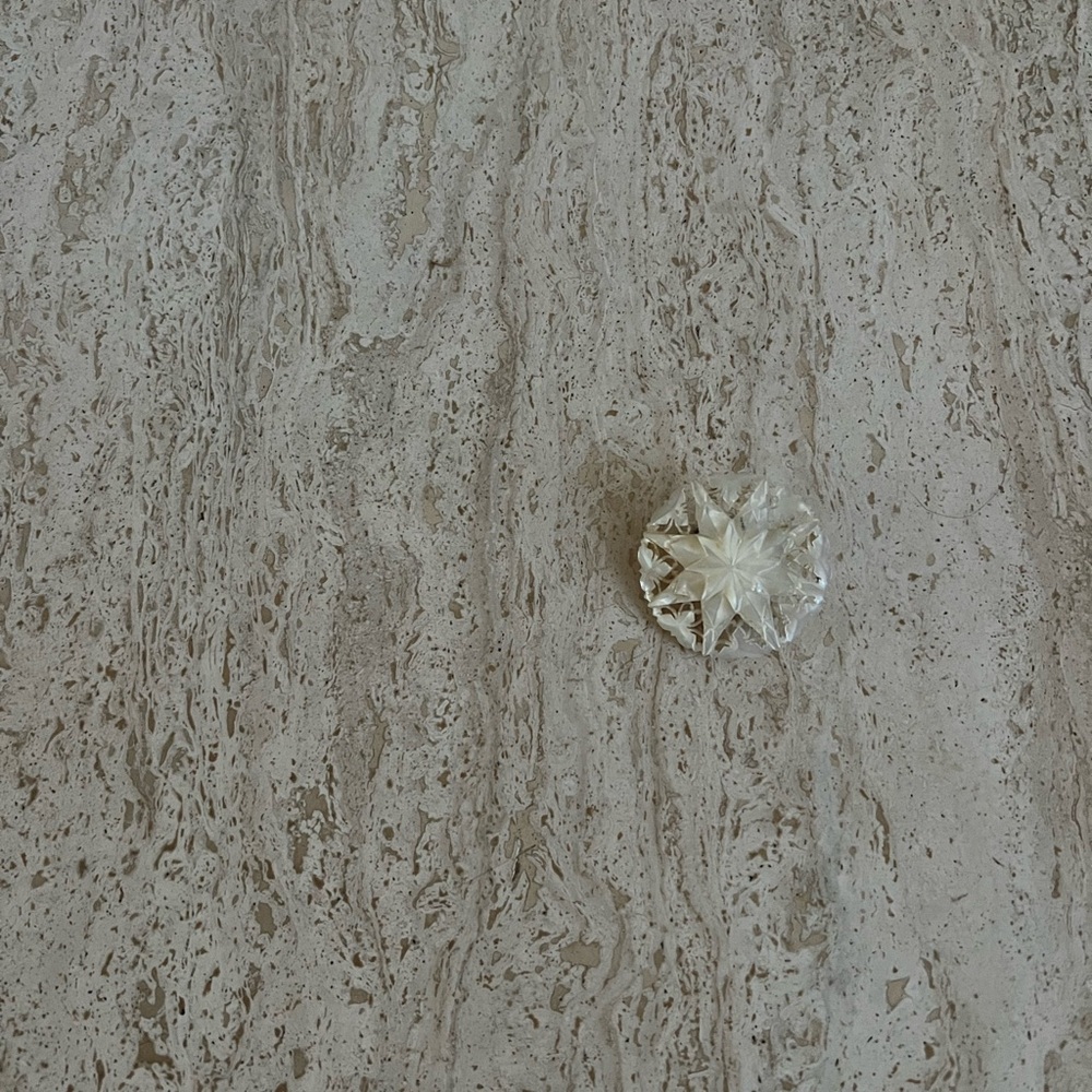 Vintage Mother of Pearl Brooch